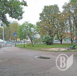 Ялину в Чернігові зрізали як суху (фото ) Ялину в Чернігові зрізали як суху (фото )