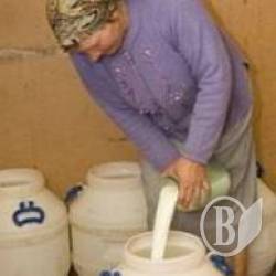 За молоко 2,20 – обіцяли керівники підприємств За молоко 2,20 – обіцяли керівники підприємств