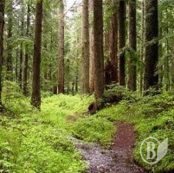 �������� ������ � ��!