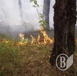 Необережне поводження з вогнем призвело до пожеж Необережне поводження з вогнем призвело до пожеж