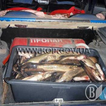 Браконьєра-нищівника затримали «на гарячому» (фото) Браконьєра-нищівника затримали «на гарячому» (фото)