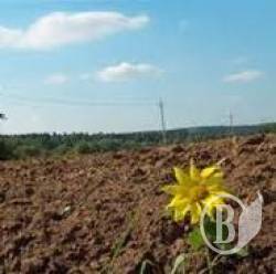 Безцінна земля Чернігівщини Безцінна земля Чернігівщини