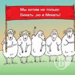 Ти - бидло Ти - бидло