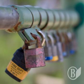 ������� ��������� ������ �� 7 ������� (����)