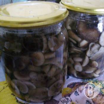 ������ �������� ������� (����)