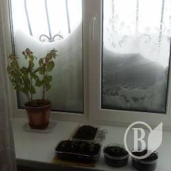 У Чернігові сніг ішов 3,5 доби, але катаклізму не відбулося (фото) У Чернігові сніг ішов 3,5 доби, але катаклізму не відбулося (фото)