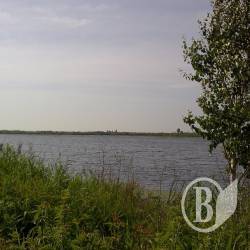 Чоловік закінчив життя у ставку Чоловік закінчив життя у ставку