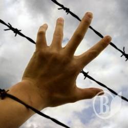 «Ніжинських робінгудів» повільно знищують в ізоляторі? «Ніжинських робінгудів» повільно знищують в ізоляторі?
