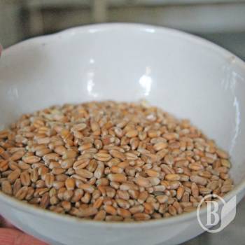 ����� ������ ������������ �� ��������� �������