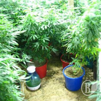  ��������� ��������� � �������-���� ����������