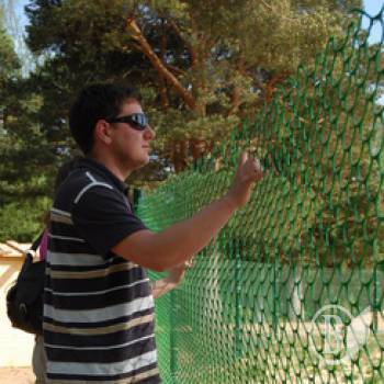 ������ �������� ����������� ������� ��� �������� �� ������