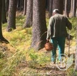 У 68 років ходити за грибами небезпечно У 68 років ходити за грибами небезпечно