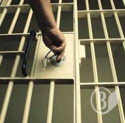 Желание посидеть за решеткой удовлетворено на все 100% Желание посидеть за решеткой удовлетворено на все 100%