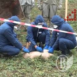 Майстер-клас: боротьба зі свинячою чумою Майстер-клас: боротьба зі свинячою чумою