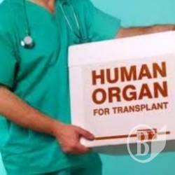 Білоруські католики віддають свої органи на трансплантацію