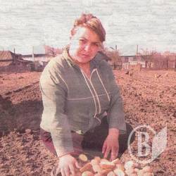 Рання картопля з Березного: з сотки селяни мають тисячу гривень Рання картопля з Березного: з сотки селяни мають тисячу гривень