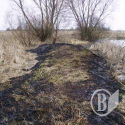 Нещасний випадок з 74-річнею бабусею Нещасний випадок з 74-річнею бабусею