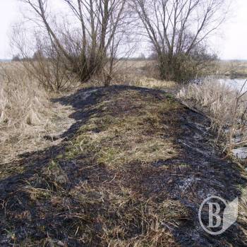 Нещасний випадок з 74-річнею бабусею Нещасний випадок з 74-річнею бабусею