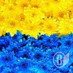 Безпеку України нарешті оцінили – ціна сягнула максимуму? Безпеку України нарешті оцінили – ціна сягнула максимуму?