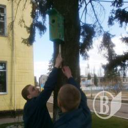 Будиночок для пернатих Будиночок для пернатих