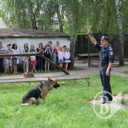 Чотирилапа надія та порятунок Чотирилапа надія та порятунок