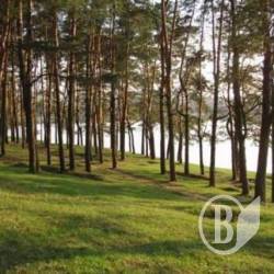 Ялівщина – «чемодан без ручки», або Кому не шкода віддати крісло директора Ялівщина – «чемодан без ручки», або Кому не шкода віддати крісло директора