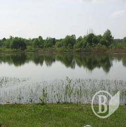 Пішов купатися і не повернувся… Пішов купатися і не повернувся…