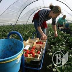 82% чернігівських підприємств у статусі «мікро» 82% чернігівських підприємств у статусі «мікро»
