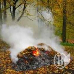 Як правильно спалити осінній листок і не «з’їсти» таблицю Менделеева? Як правильно спалити осінній листок і не «з’їсти» таблицю Менделеева?