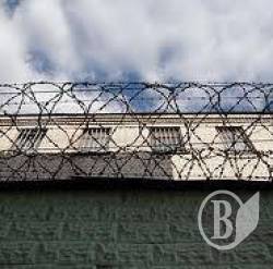 Канабіс оптом – наркоторговців посадили з конфіскацією майна Канабіс оптом – наркоторговців посадили з конфіскацією майна