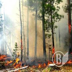 4 класс пожарной опасности 4 класс пожарной опасности
