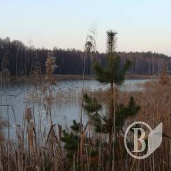 Семенівський прокурор піклується про долю місцевого ставка Семенівський прокурор піклується про долю місцевого ставка