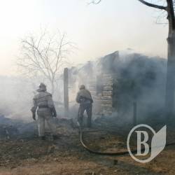 Близько 25 пожеж виникає кожного дня через необережність Близько 25 пожеж виникає кожного дня через необережність