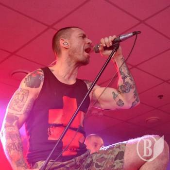  ̳  BRUTTO    - , ²