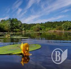 Дві трагедії на воді. Жінка і чоловік - подробиці Дві трагедії на воді. Жінка і чоловік - подробиці