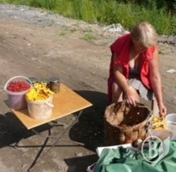 Дорожники нагадали про заборону торгівлі на трасах Дорожники нагадали про заборону торгівлі на трасах