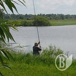 Чернігіврибохорона нагадує: триває нерест! Відео Чернігіврибохорона нагадує: триває нерест! Відео