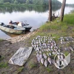 На Дніпрі попалися 5 браконьєрів На Дніпрі попалися 5 браконьєрів