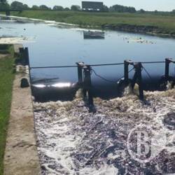 «Органи» досліджують отруєння Остра «Органи» досліджують отруєння Остра