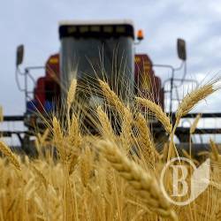 Черниговщина намолотила 82,3 тыс тонн зерна