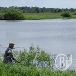 Ставки повернулися державі зі «зберігання» у приватної особи Ставки повернулися державі зі «зберігання» у приватної особи