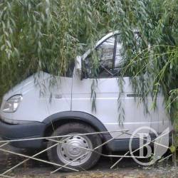 Дерево розчавило російський мікроавтобус. ФотоФакт Дерево розчавило російський мікроавтобус. ФотоФакт