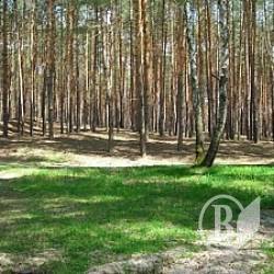 Забудова Ялівщини та заправка на Бобровиці: скандальні проекти земельних питань на сесію міськради Забудова Ялівщини та заправка на Бобровиці: скандальні проекти земельних питань на сесію міськради
