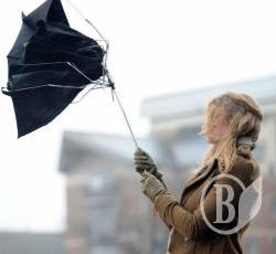Обережно: вітер буде дмухати, дерева й реклама – падати Обережно: вітер буде дмухати, дерева й реклама – падати