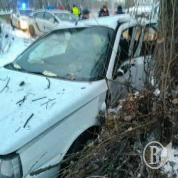 Дерево остановило пьяного в Чернигове Дерево остановило пьяного в Чернигове