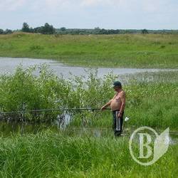 Прокурор відсудив 2,6 га землі водного фонду Прокурор відсудив 2,6 га землі водного фонду