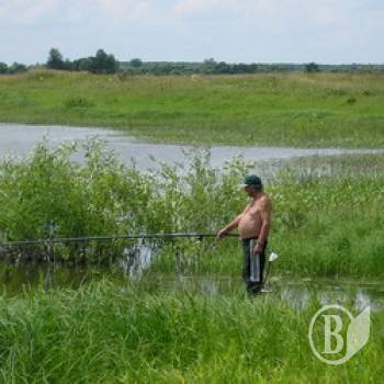 Прокурор відсудив 2,6 га землі водного фонду Прокурор відсудив 2,6 га землі водного фонду