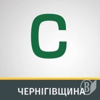 Черниговская Самопомич отчиталась за год работы в горсовете Черниговская Самопомич отчиталась за год работы в горсовете