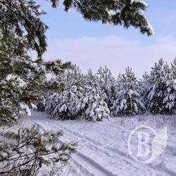 Разлили неизвестную гадость на 10 квадратов Разлили неизвестную гадость на 10 квадратов