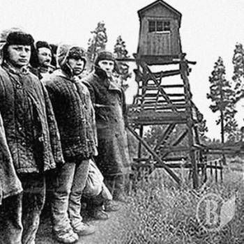 В’язниця здала в оренду свою землю В’язниця здала в оренду свою землю